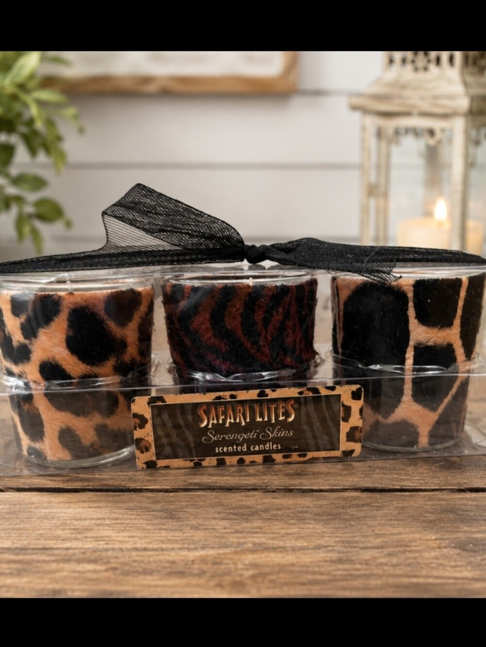 Serengeti Skins Animal Print Scented Votive Candle Set - Brown/Black
